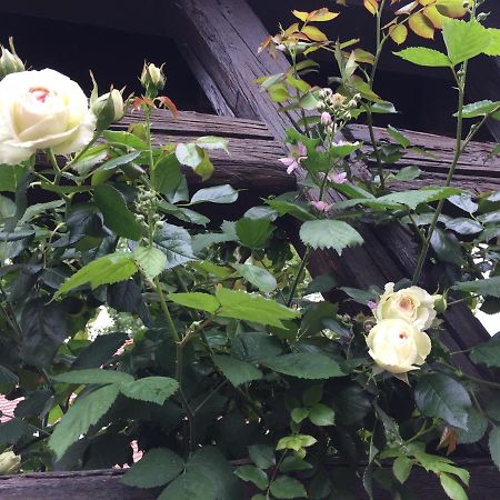 B&B Le Lodge Bourgheim 외부 사진