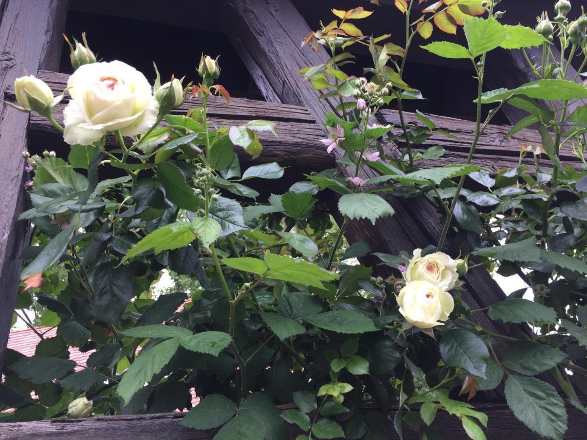 B&B Le Lodge Bourgheim 외부 사진