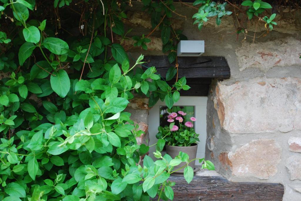 B&B Le Lodge Bourgheim 외부 사진
